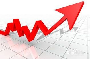 **玩转股票行情：新手的幽默指南** 