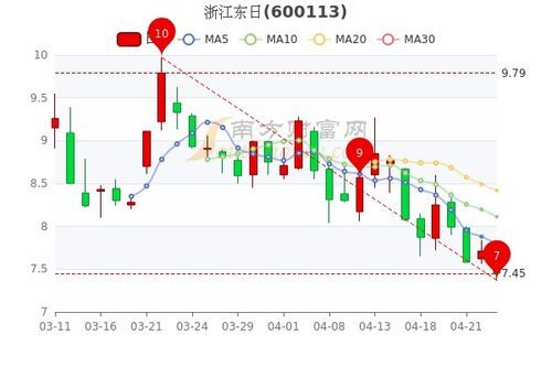 浙江东日股票财务透视 