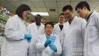 高福疾控中心主任不会传染：从防疫头条到医药股的金风暴 