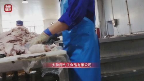 安徽厨先生食品有限公司：从“厨”到“钱”，财务版的厨房秘笈 