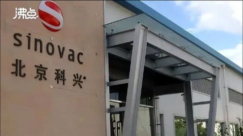 北京科兴：生物科技巨头的合规迷宫 