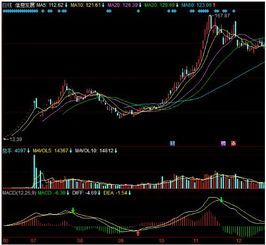 2015年A股集结：那些被大家喊到哗啦哗啦的股票 