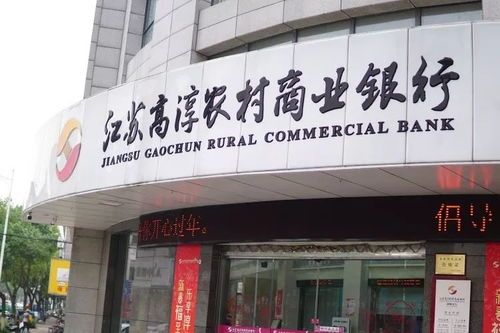 江苏农村商业银行：乡村振兴的金融活水 