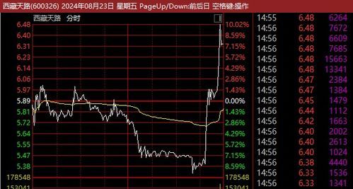 西藏天路股票：藏天不惜，路通财富 