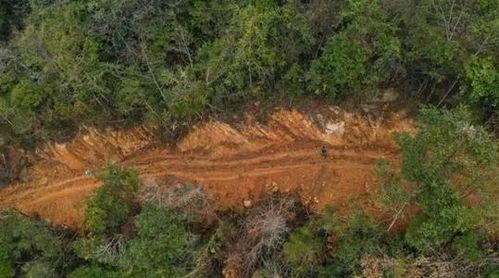 农夫山泉水源地污染：股市还是“财务”危机？ 