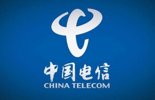 中国电信上市全记录：背后的商业密码与热闹现场 