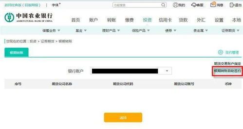 农行网银转账全攻略：一步到位，你的钱包再也不怕落单 