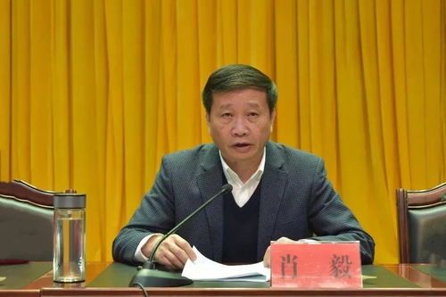 肖毅非法挖矿被双开事件的背后 