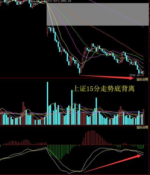 经济日报：美股退市不意味着金融脱钩？ 