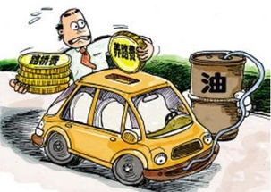 车视乐装一个多少钱？ 