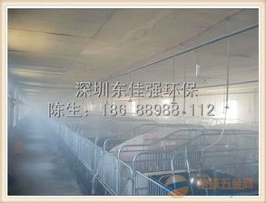 养猪场养鸡场增值税税率那些事儿