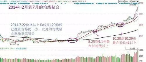万科股票赚多少钱？看看数字背后的故事 