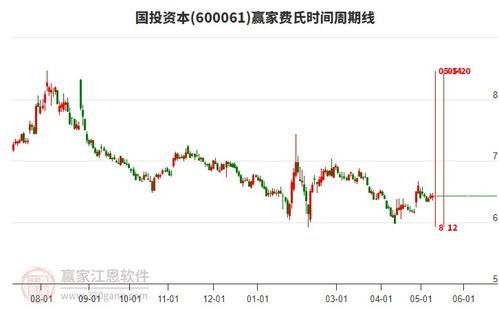 股市国投资本是什么 