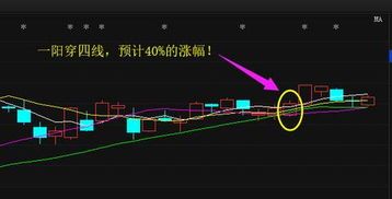 蓝山科技龙头股票有哪些？ 