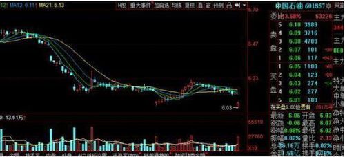 李繁荣与中国石油股票:股海里的趣味探险