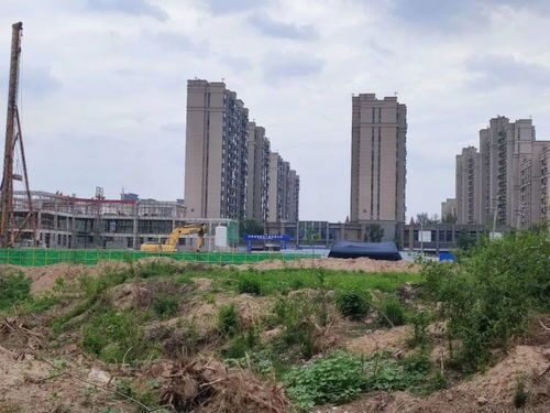 太康县最新房产价格速报：价格、趋势、热点全在这儿！ 