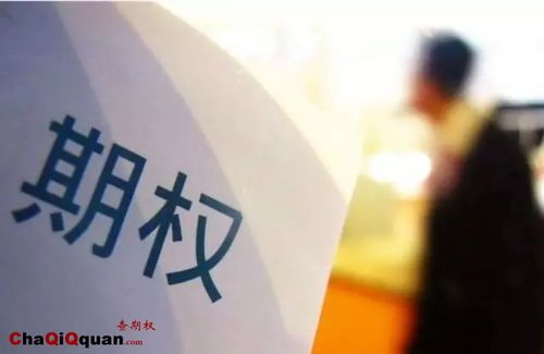 个股场外期权的交易量:从零到一的发现
