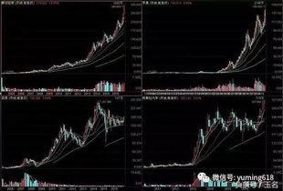 港股与A股股东占比分解全图 