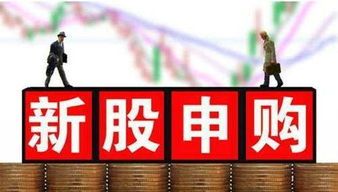 证券法新股发行的条件全能速览 