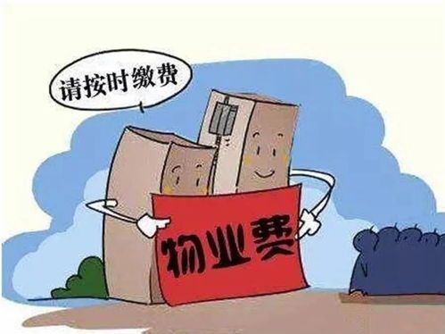 如何支付陶冲湖物业费与水费，轻松又省心 