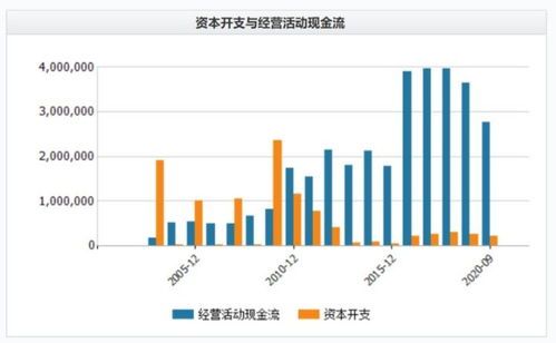 你从未看到的被低估电力股