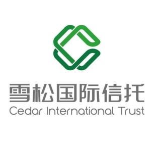 雪松国际信托有限公司地址查询全攻略——轻松剖析,让你不再头疼