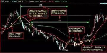 【实战】均线黏合涨停选股公式全曝光