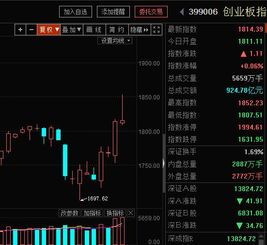 创业板的金矿,谁是你下一笔“炒股”敲锤?