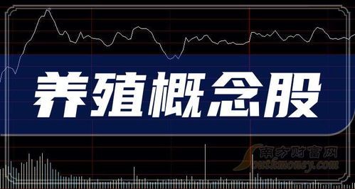 泰和科技龙头股票代码详解
