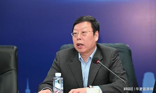 国华投资集团副董事长的投资决策全流程解密
