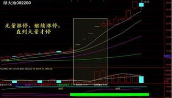 盘中跌停意味着什么?